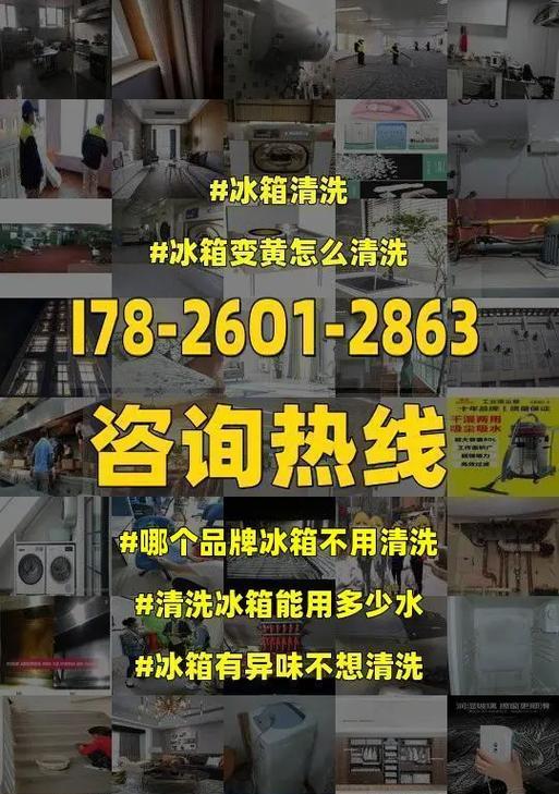如何正确清洗新购电冰箱（简单方法让你的电冰箱保持清洁与卫生）