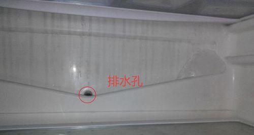解决西门子冰箱保鲜有水问题的方法（应对冰箱保鲜功能失效）