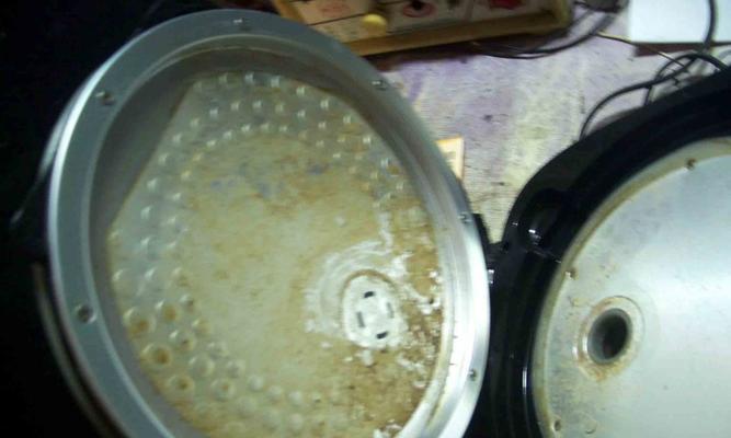 电饭煲漏电事故的原因和防范措施（探究电饭煲漏电现象的成因）