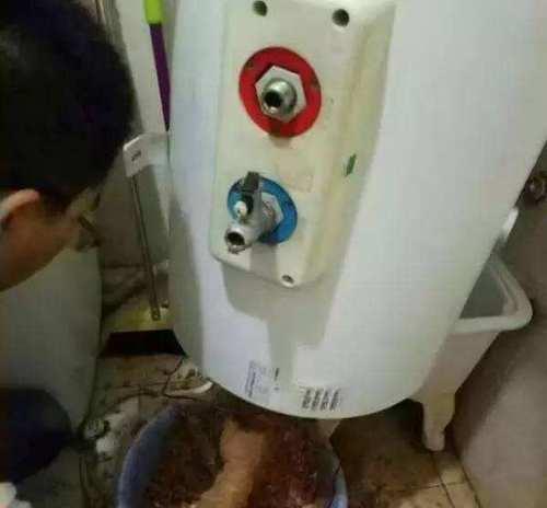 如何快速清洗老式热水器（快速清洗老式热水器的有效方法）