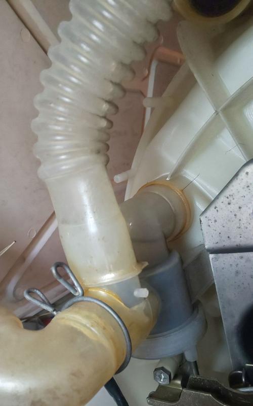 洗衣机清洗的重要性及常见问题解决方法（保持洗衣机清洁）