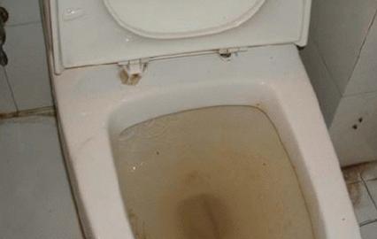 解决蹲坑堵塞问题的方法（教你轻松应对厕所下水不畅的情况）
