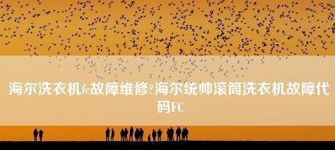 海尔洗衣机fc故障维修？如何快速解决？